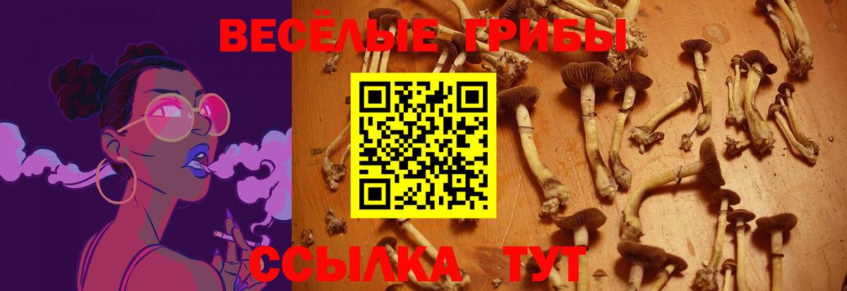 Псилоцибиновые грибы GOLDEN TEACHER  Псилоцибиновые грибы GOLDEN TEACHER  Вход с VPN  Новый Уренгой 